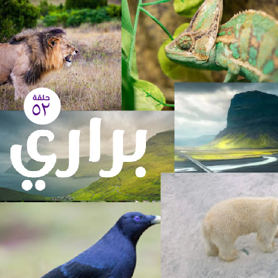 براري 52