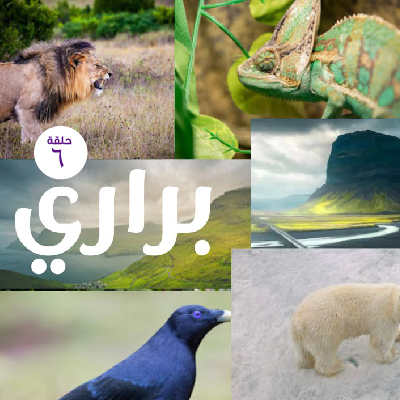 براري 6